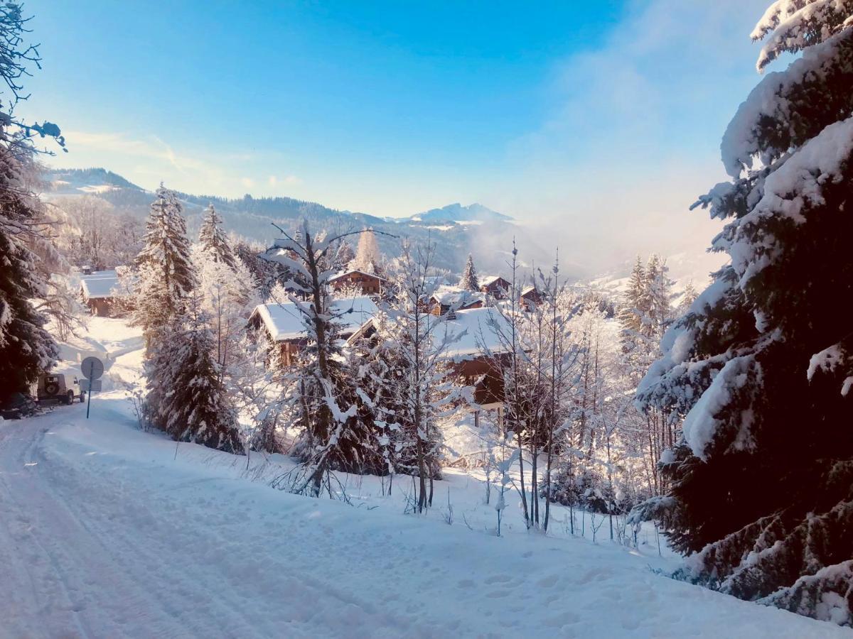 Le Chalet De Nabor Les Gets Exterior foto